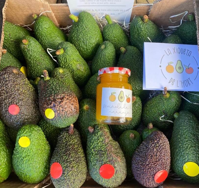 Presentación de la caja de aguacates de 8 kilos que puedes comprar en nuestra tienda online