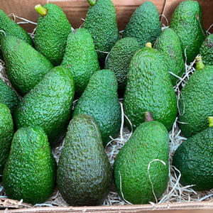 Muestra de nuestra caja de aguacates de 5, 8 o 10 kilos
