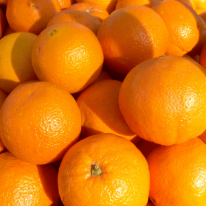 Imagen de las naranjas que puedes comprar en nuestra tienda
