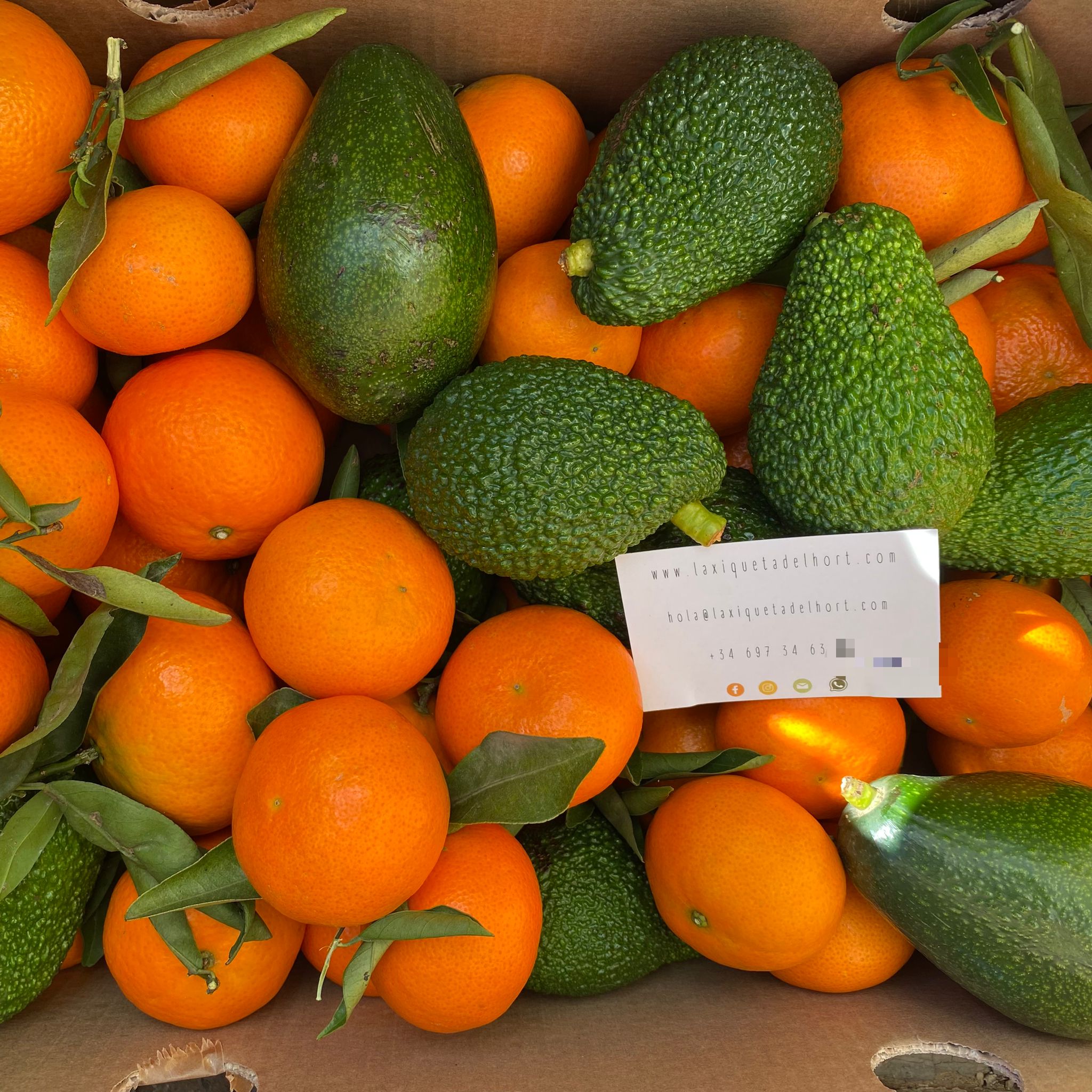 Caja de frutas online para regalo o para toda la familia, con aguacates, naranjas, clementinas, calabaza y mermelada casera