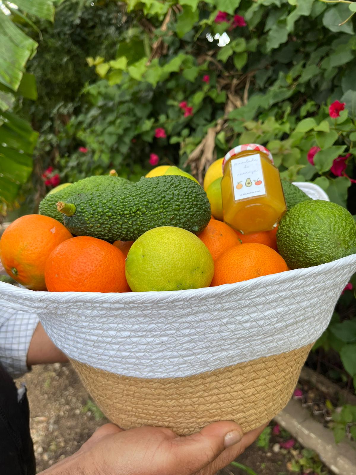 Caja de frutas para regalar a domicilio 8Kg - Imagen 4