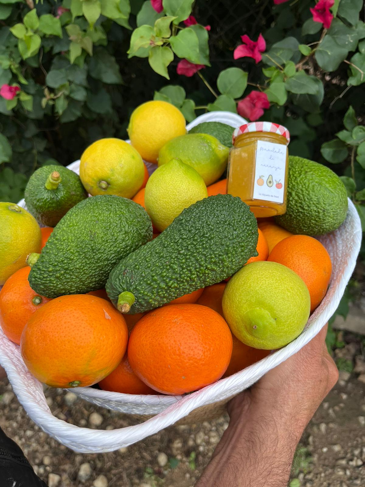 Caja de frutas para regalar a domicilio 8Kg