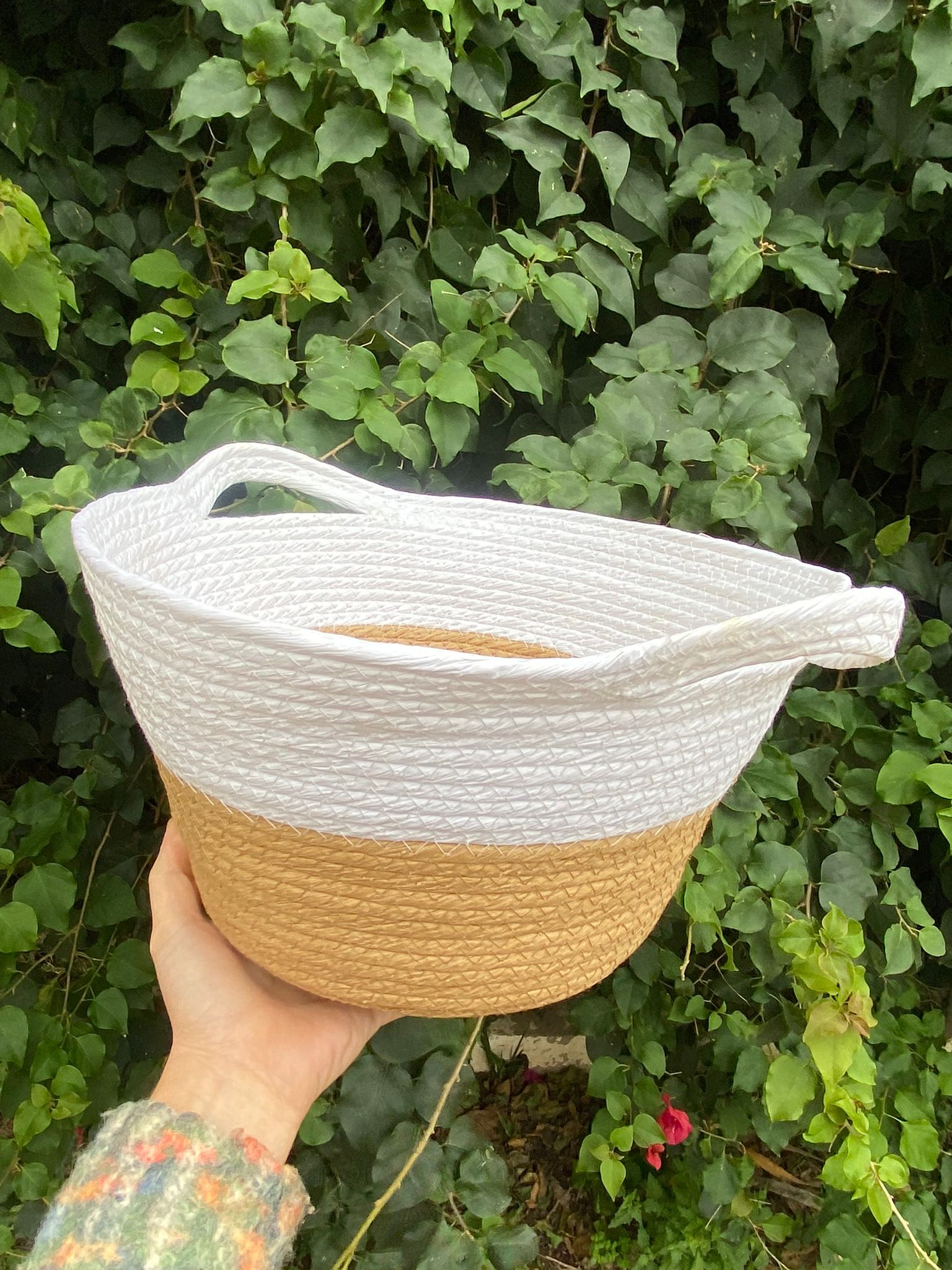 Caja de frutas para regalar a domicilio 8Kg - Imagen 2