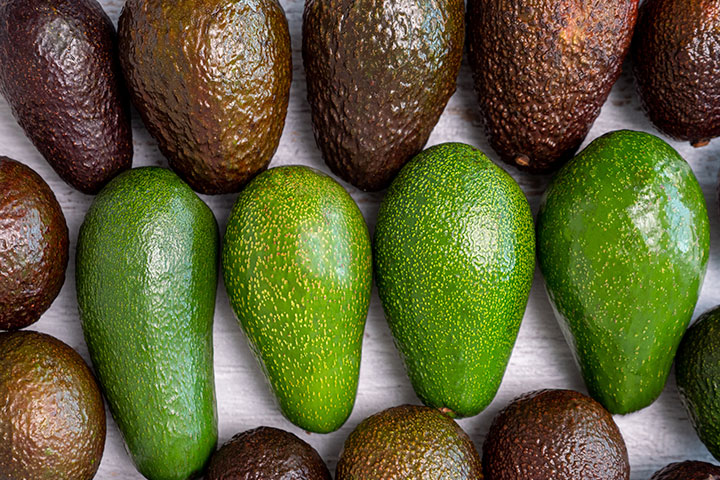 Tipos de aguacate clasificados por diferentes parámetros